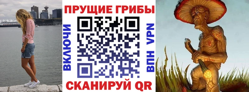 Галлюциногенные грибы мухоморы  где купить   Партизанск 